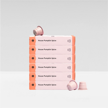 Load image into Gallery viewer, hidden